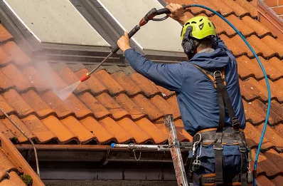 Démoussage et hydrofuge de toiture à Loddes